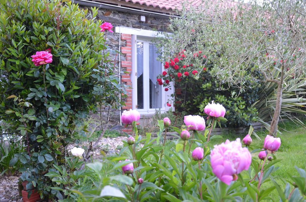 Bed and Breakfast L'Arbre D'Alais Saint-Fulgent Экстерьер фото