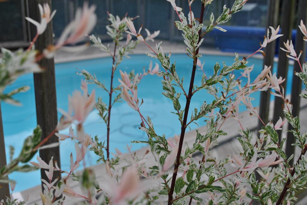 Bed and Breakfast L'Arbre D'Alais Saint-Fulgent Экстерьер фото